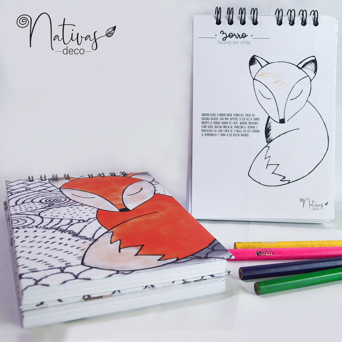 Block pinto y aprendo Fauna Nativa