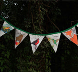 Banderin Fauna